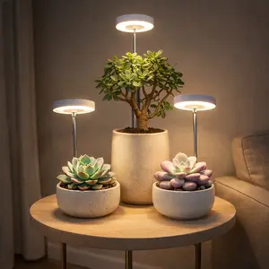 3-piece set of indoor plant grow lights, full-spectrum plant lights with automatic switch timer for 2/4/8 hours, height-adjustable dimmable lights suitable for succulents and seedlings, 4-level dimming, USB powered
