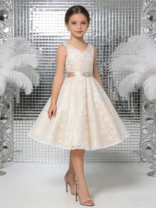 Girls Party Dress with Shiny Sequins and Long Sleeve Bowknot Front, Stylish and Comfortable Design for Birthday, Catwalk, and Performances