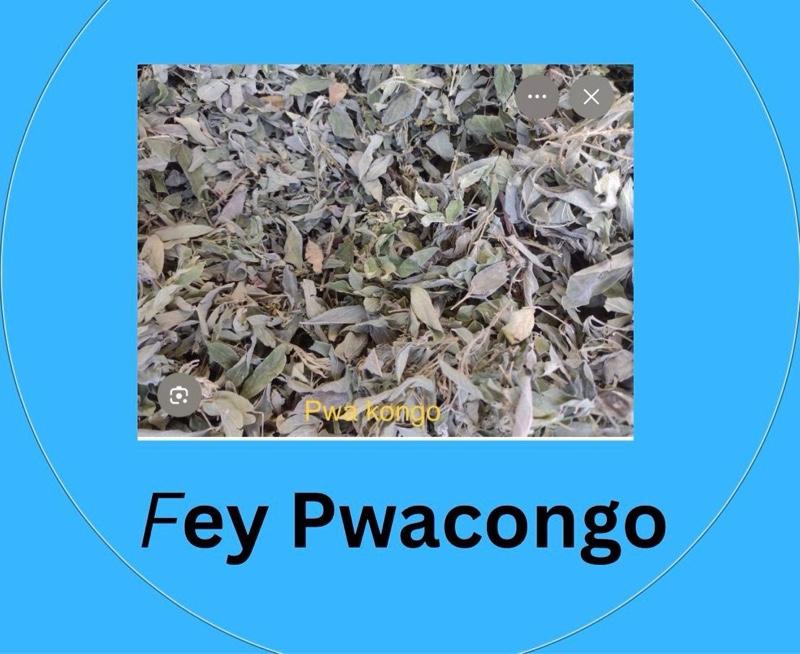 Dry Leave Fey Pwa Gongo - Authentic Herbal Leaves for Traditional Use,Haiti