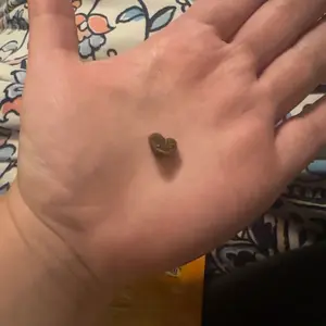 review image 6