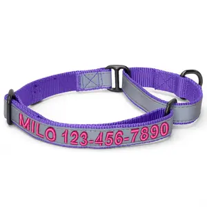 Personalized Reflective Martingale Dog Collar