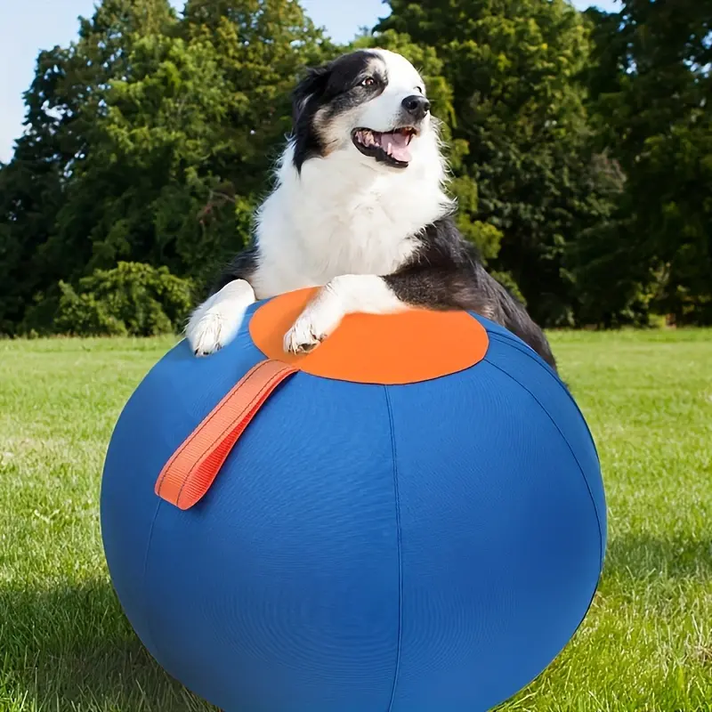 Pet dog toy inflatable big ball, dog ball full set golden bear ball anti-boredom ball dog corgi hi pet training ball, dog ball, dog toy