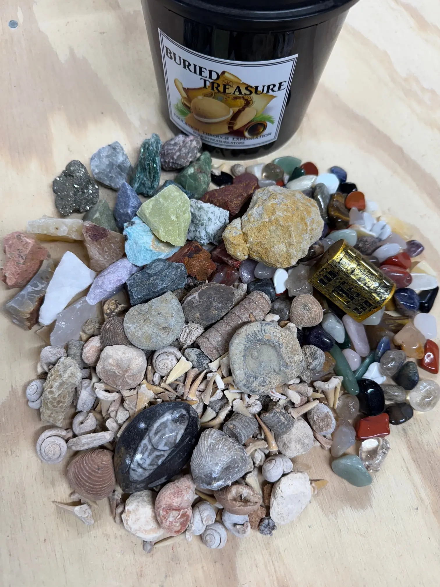 THE QUART MINI MINER FOSSIL FREAK - NATURAL CRYSTAL AND FOSSIL MINING BUCKET