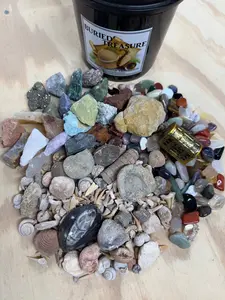 THE QUART MINI MINER FOSSIL FREAK - NATURAL CRYSTAL AND FOSSIL MINING BUCKET