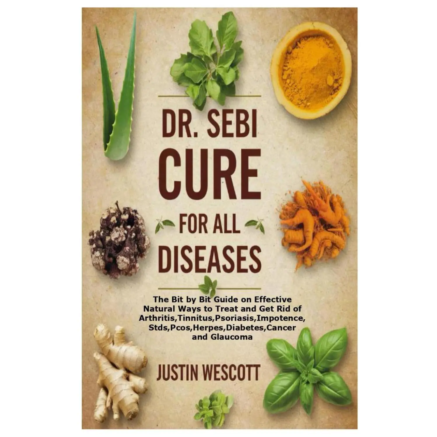 DR. SEBI: The Bit by Bit Guide to Natural Ways to Treat Arthritis, Tinnitus, Psoriasis, Stds, Pcos, Herpes, Diabetes, Cancer and Glaucoma