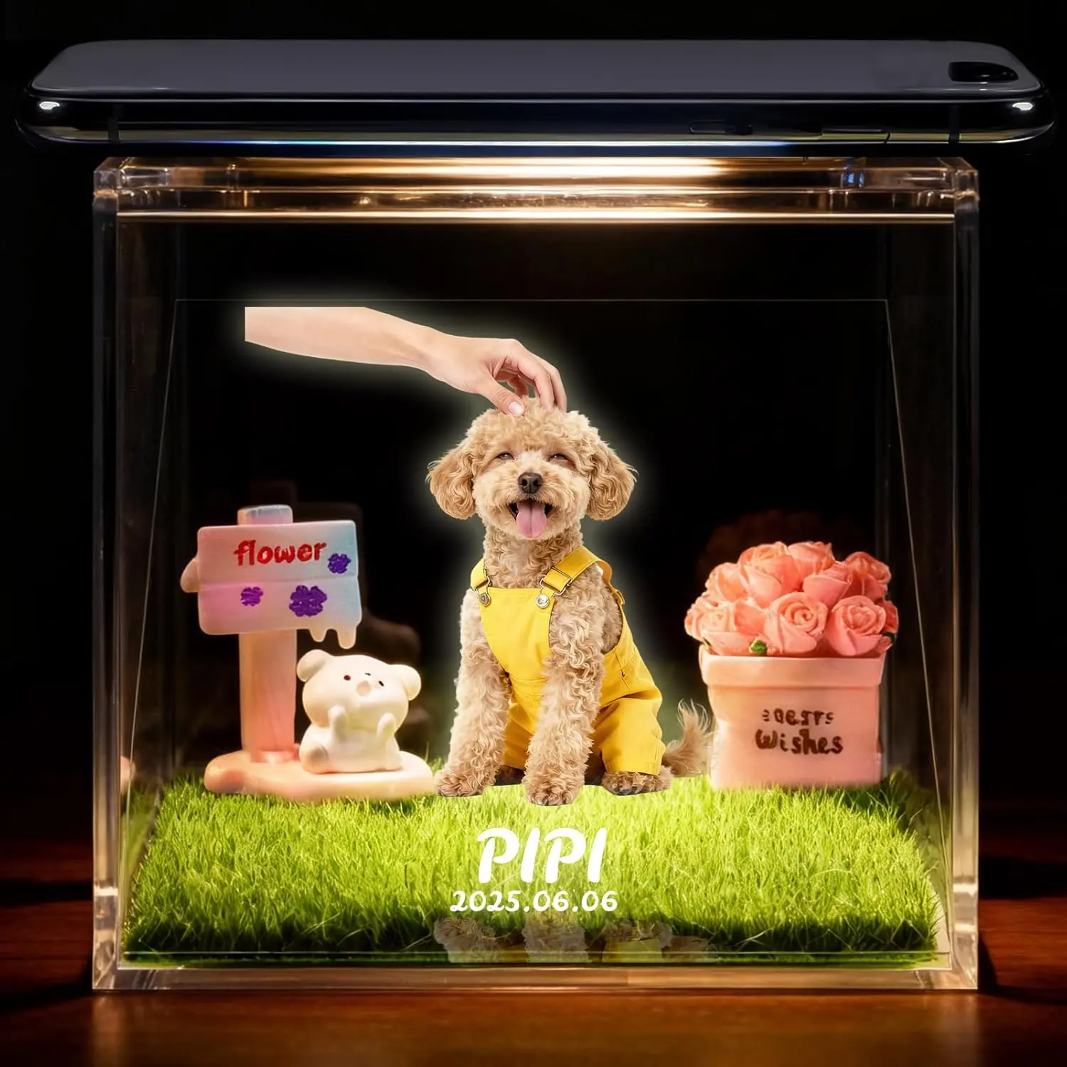 3D Hologram Pet Memorial Box - 4x4x4 in High-Transparency Acrylic Panel, Interactive Mode, Adjustable Brightness-Angle, Personalized Customized Video, Cat Lover Keepsake, Memorial Gift for Valentine's Day, 4×4×4 Inches