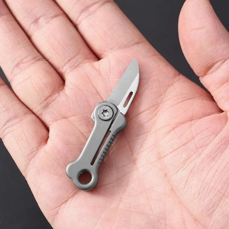 Titanium Alloy Handle EDC Tiny Bone Shape Pocket Knife, Mini Folding Package Knife Keychain, Ultra Compact and Lightweight for Daily Carry, Cute Small Knife, Camping Must Have,SummerVibes
