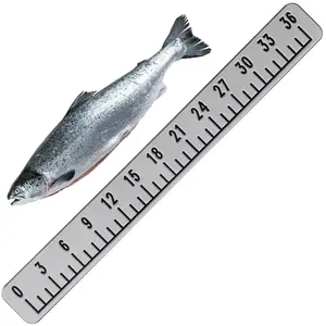 Foam Fish Ruler Fish Size Measuring Tape Measuring Board Tool Adhesive Accessory for Boats Sailboats Yachts Kayaks 36 Inch