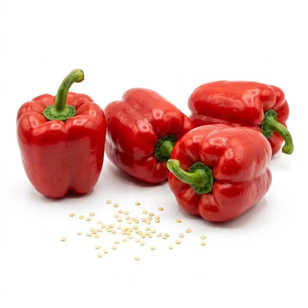50 Red Bell Pepper Seeds for Planting - Sweet High-Yield Vegetable Seeds for Home Gardeners, Outdoor Use, Ideal for Home Improvement & Garden Supplies
