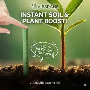 Completely Plant Care Nutrition Stick with Slow Release Fertilizers Stick for Home Gardeners & Horticulture Enthusiasts