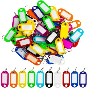 60 Pcs Key Ring Tags - Key Tags Plastic 10 Assorted Colours,Identifiers,Name and Labels,Adapt to USB Drive,Pets,Bags Split Ring Window Lucky Line Flexible Colored Durable Writing