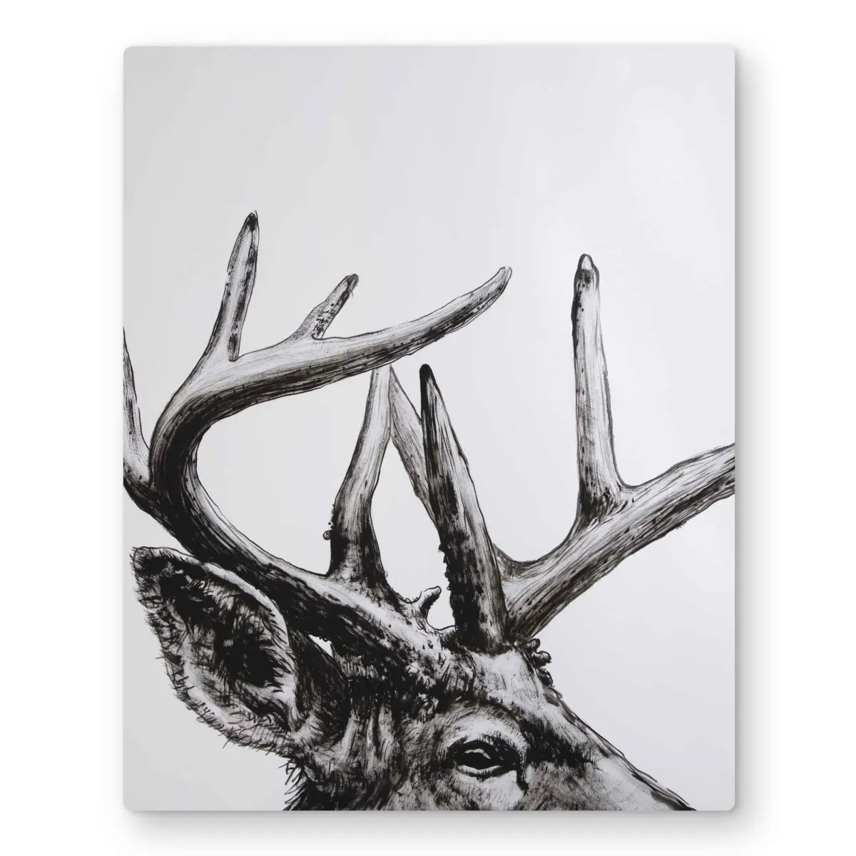 Begin Home Decor C1MP1620GDBE8H 16 x 20 in. Roe Deer Plume Wall Art - Livingroom Wildlife Metal Print