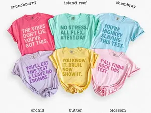 Custom Test Day Shirt, Matching State Testing Shirts, Teacher Team T-Shirts, Comfort Colors, Gen Z School Testing Day Tee, Testing Coordinator Shirt