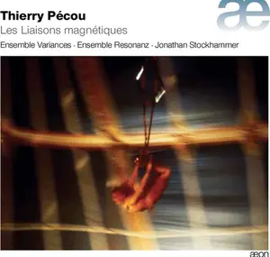Pecou,Thierry / Stockhammer,Johathan - Pecou: Les Liasons Magnetiques  [COMPACT DISC - CD]