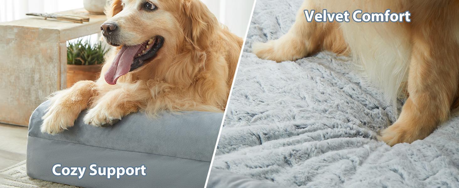 Large Orthopedic Dog Bed - Snap-On Modern Plain Design, Egg Sponge Egg-Crate Pressure Relief, Washable Couch with Removable Waterproof Velvet Cover, Skin-Friendly Bolster-Sides for Joint Relief & Comfortable Private Space, Puppy Bed, 45 X 35 X 7 Inches