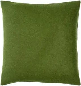 Meabh Lime Green Throw Pillow