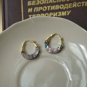 Natural Colorful Abalone Shell Earrings Niche Personality Design Minimalist Style Earrings Retro Fashion High-end Sense Earrings for Women