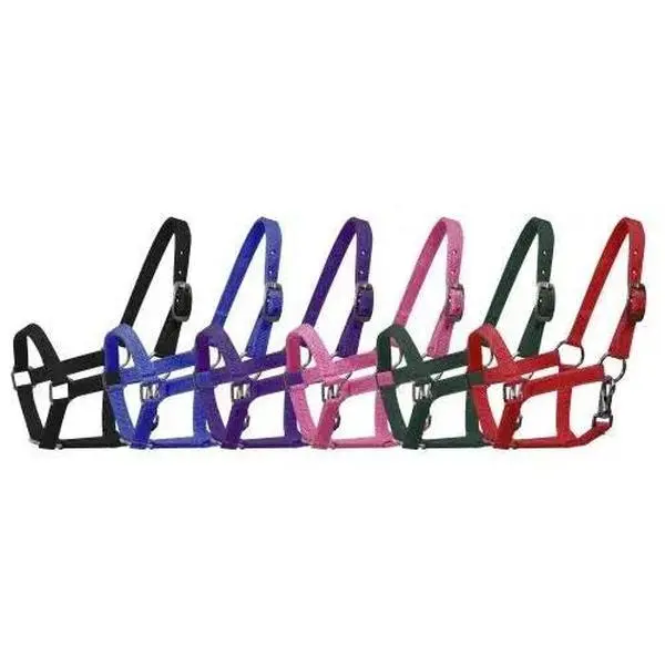 Nylon halter with nickel plated hardware and throat latch. Mini size. mini horse halter