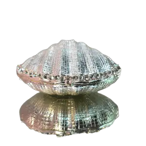 Silver Enchanted Seashell Trinket Box