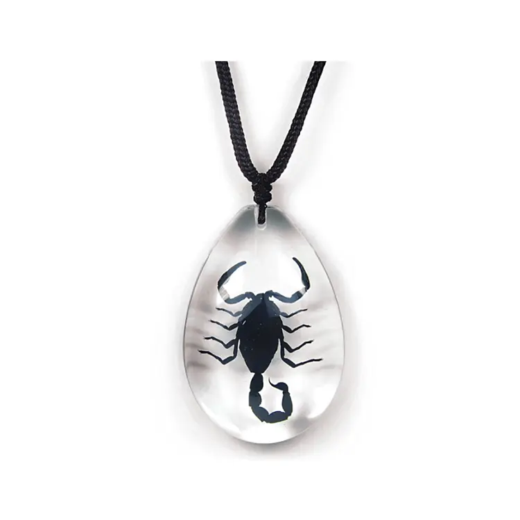 Clear Pendant Necklace with Real Black Scorpion