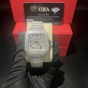 Moissanite Hip Hop watch *passes diamond tester*
