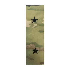 US Army O7 Brigadier General OCP Sew-on for Cap “Only” (pair)