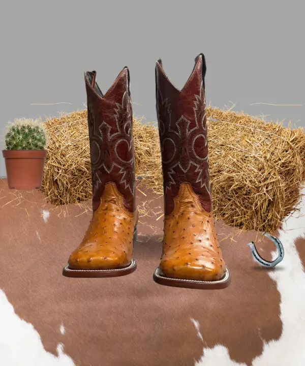 Cowboy City Ostrich Boots