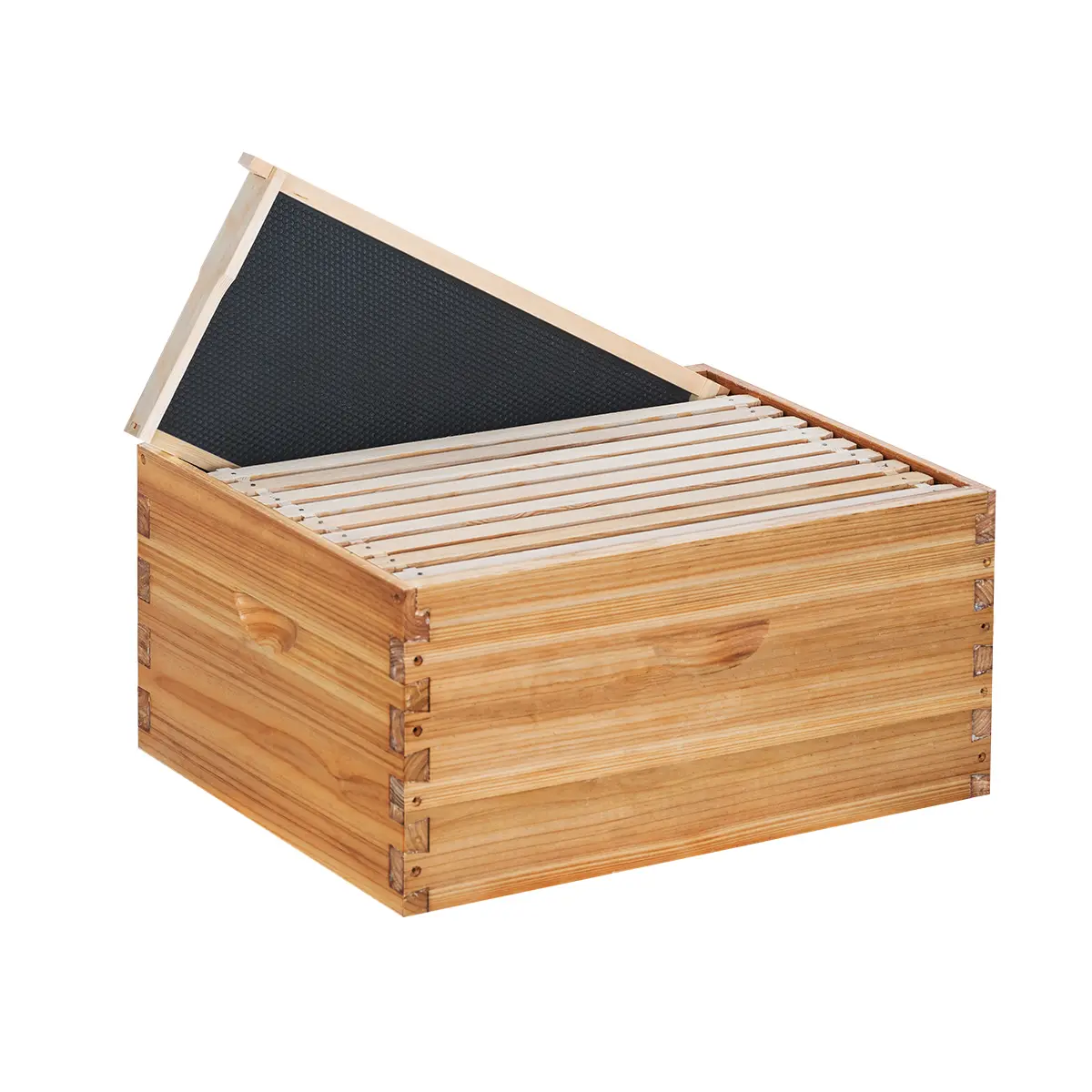MayBee Langstroth Deep Brood Beehive Box - Premium Quality Cedarwood MayBee Hives with 8/10 Frame Dovetail Joints, Beeswax-Dipped, Unassembled, Wooden Frames, 100% Beeswax Foundation Sheets & Black Food Grade Plastic Beekeeping Supplies