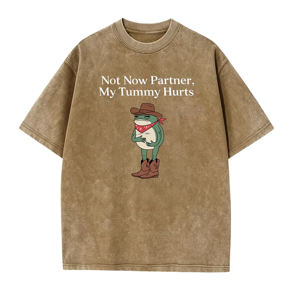Not Now Partner My Tummy Hurts Shirt IBS Lactose Intolerant Frog Unhinged TShirt Gen Z Meme Funny Dumb Shirt Weirdcore Shirt