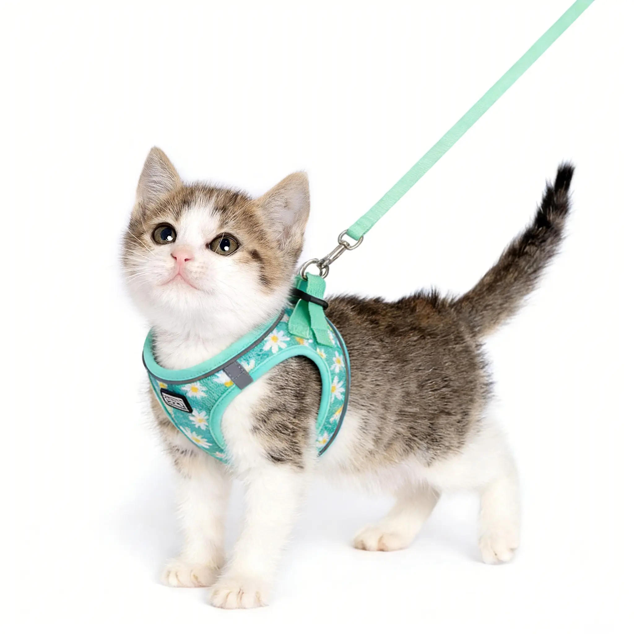 Cat, Dog & Kitten Harness and Leash Set, Leash Included, No-Pull Soft Mesh Pet Harness, Reflective Adjustable for Small to Medium Cats and Dogs, Ideal for Walking & Training,Puppy Vest, Durable Reflective Harness