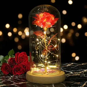 Mother's Day Gift for Mom - Forever Galaxy Rose in Glass Dome, LED Night Light Present Glowing Bear-Shaped,summerwins summerwins