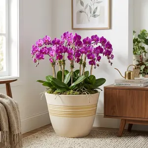 GreenShip Planter Pots for Indoor & Outdoor Plants, Set of 2 Modern Decorative Flower Pots with Drainage Hole
