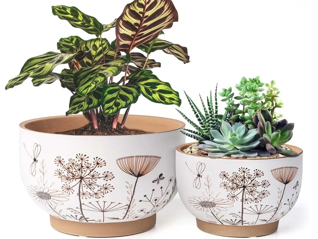 Patterned Terracotta Planter - 2 Sizes/3 Styles