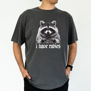 ChicCotton I Have Rabies Raccoon Comfort Colors Shirt, Y2k Vintage Men T-shirt, Unhinged Meme Graphic Tee For Men, Weird Dark Humor Men Clothing