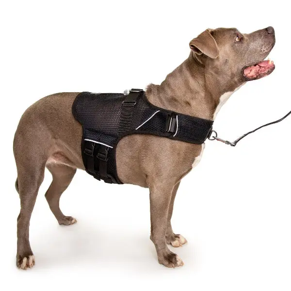 Sleepy Pod Martingale Calming Harness for dogs - front hook harness