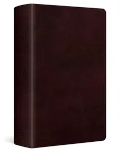 Large Print Personal Size Bible-ESV -- Esv Bibles - Bible