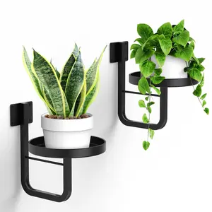 Wall-Mounted Plant Stand, Metal Wall-Hanging Planter Shelf, Indoor Plant Frame, Home Decor, Vertical Gardening Solution, Wall Plant Holder