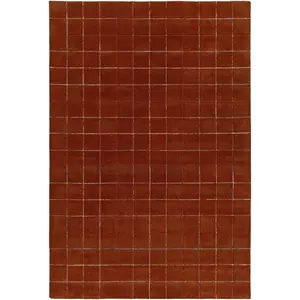 Sample Toshi Area Rug