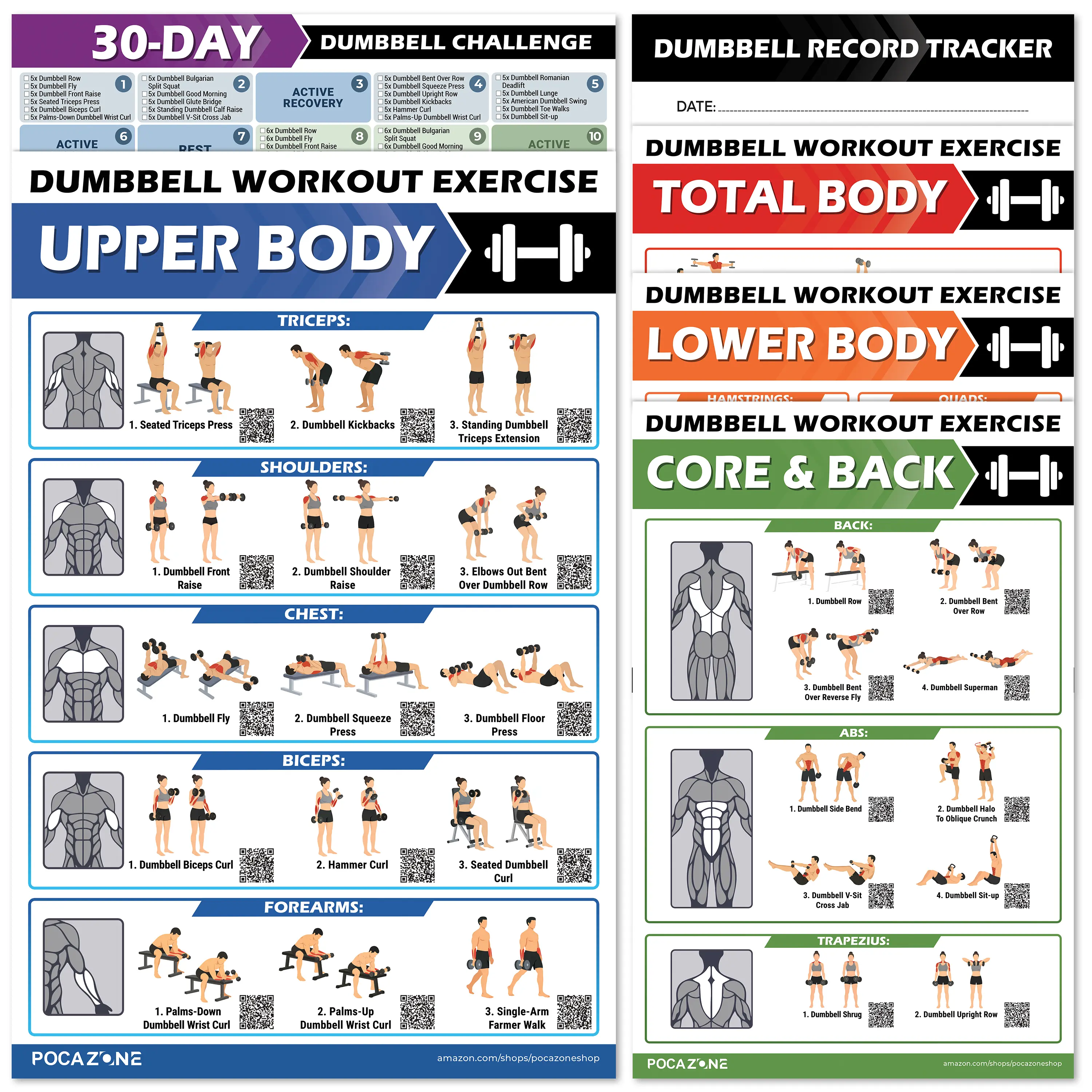 Dumbbell Workout Posters, 6 Pack Exercise Charts with QR Code Video Guide, Laminated 11x17 Home Gym Wall Workout Guide for Weight Training, Strength Exercises, Upper Lower Body & Core Workouts, Fitness Posters for Men and Women