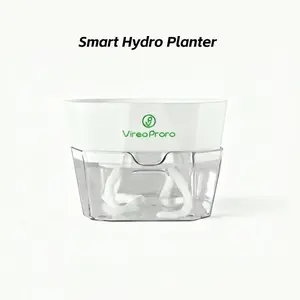 Brazilian Lucky Wood Hydroponic Pot - Symbol of Luck Prosperity - Easy to Grow Indoors with Hydroponic Pot Included - Enhances Humidity Reduces Stress