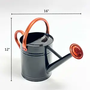 Lexi Home 3-Liter Removable Spout Watering Cans