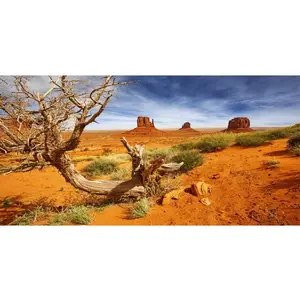 30x12 inches Reptile Habitat Background Orange Desert Terrarium Background Durable Polyester Background