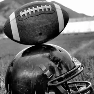 (TikTok Live) SeaHawks Football Team Ornament (LIVE) - Perfect for Any Car Enthusiast (LIVE)