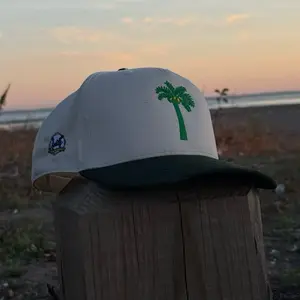 Palm Tree Hat