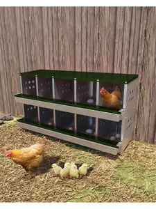 【Christmas Gift】Metal Chicken Nesting Box For Laying Eggs, Rustproof Wall-Mountable Roll Away Chicken Laying Boxes For Hens, Waterproof, Ventilated With Perch, 10 Compartments, Green