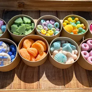 Wax melts assortments Aroma Cozy Fragrance Scent nontoxic