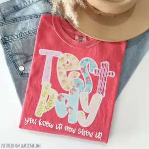 Comfort Colors Test Day Shirt, Teacher State Testing T-Shirt, Testing Coordinator Life Tee, Inspirational Tee Short Sleeve, Funny