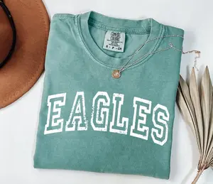 Comfort Colors Eagles T- Shirt, Retro Game Day T-shirt, Game Day, Personalized Spirit Shirt, Touchdown Season, Sports Shirt, Unisex