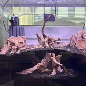 Invisible Aquarium Cave Hideout