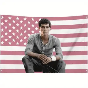 funny tapestry 60in x 40in   1 Funny Dylan USA O'Brien Pink Flag 3x5ft Patriotic Poster Item - Durable fabric , yard decorations no electricity required - unique gift idea, American flag decoration poster home decor banner wall art bedroom